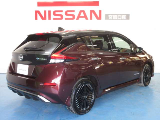 日産 リーフ ｅ＋　Ｇ R5年 (九州・沖縄) 99