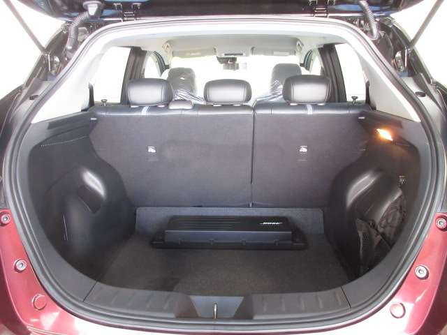 日産 リーフ ｅ＋　Ｇ R5年 (九州・沖縄) 99