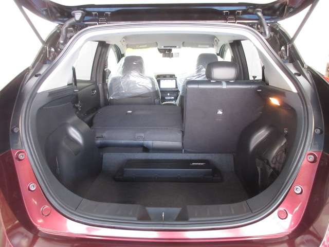 日産 リーフ ｅ＋　Ｇ R5年 (九州・沖縄) 99