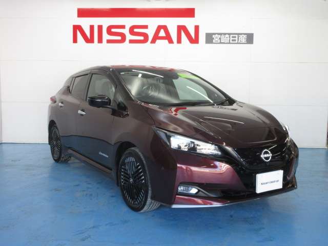 日産 リーフ ｅ＋　Ｇ R5年 (九州・沖縄) 99