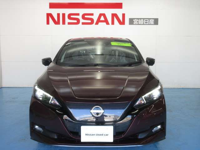 日産 リーフ ｅ＋　Ｇ R5年 (九州・沖縄) 99