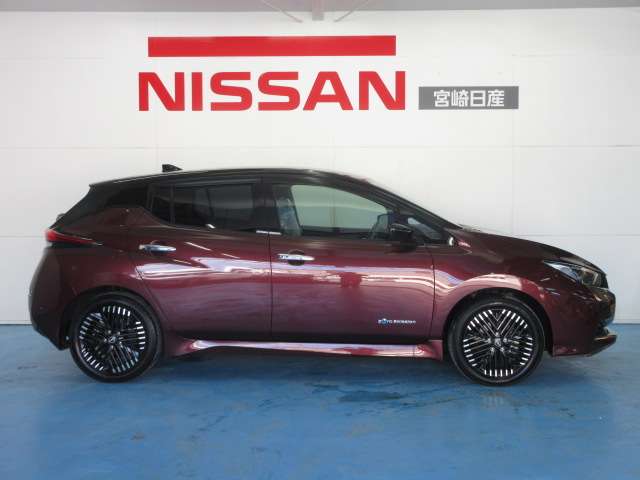 日産 リーフ ｅ＋　Ｇ R5年 (九州・沖縄) 99