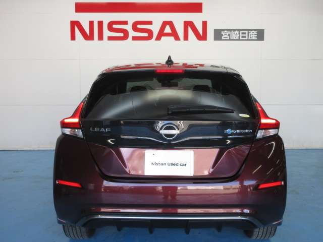 日産 リーフ ｅ＋　Ｇ R5年 (九州・沖縄) 99