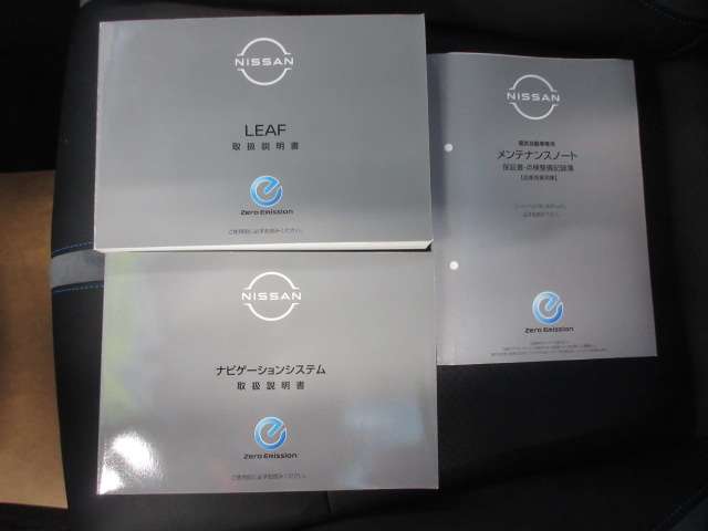 日産 リーフ ｅ＋　Ｇ R5年 (九州・沖縄) 99