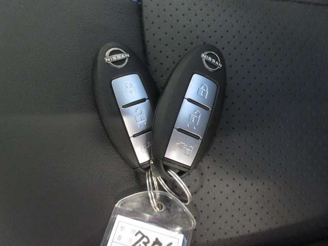 日産 リーフ ｅ＋　Ｇ R5年 (九州・沖縄) 99