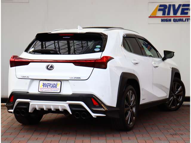 レクサス ＵＸ２５０ｈ ２５０Ｈ Ｆスポーツ ４ＷＤ R1年 (関東) 99
