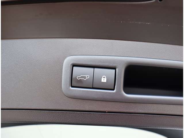 レクサス ＵＸ２５０ｈ ２５０Ｈ Ｆスポーツ ４ＷＤ R1年 (関東) 99