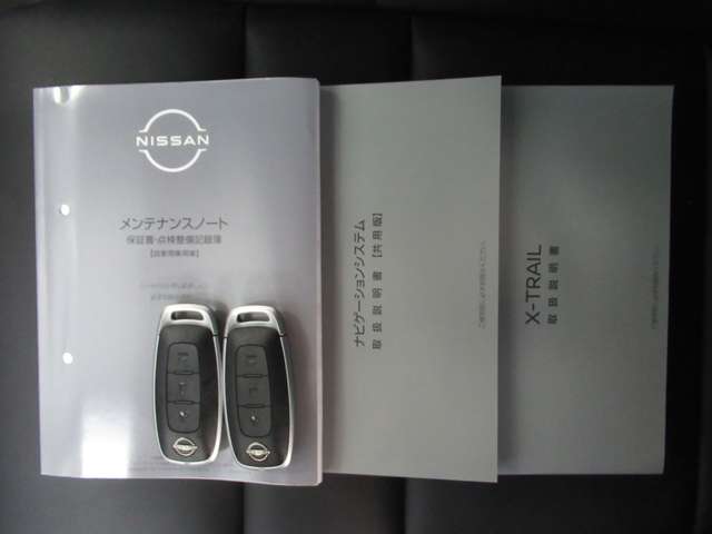 日産 エクストレイル １．５ Ｇ Ｅ－４ＯＲＣＥ ４ＷＤ R7年 (九州・沖縄) 99