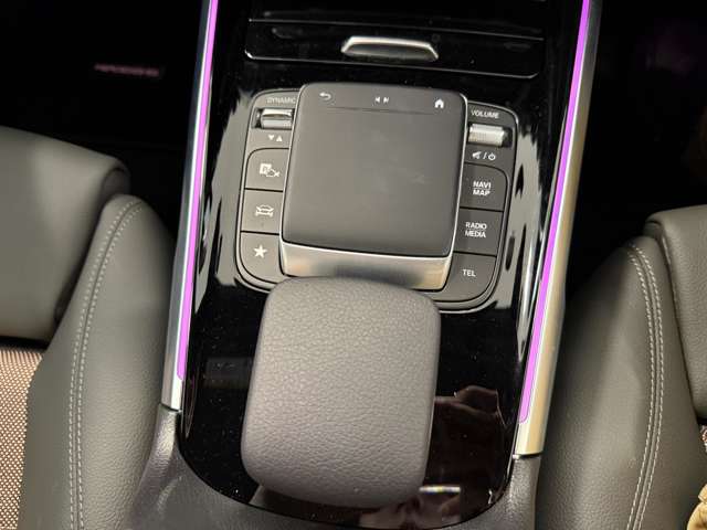 メルセデスベンツ ＥＱＢ ３５０ ４マチック ４ＷＤ ＭＰ２０２３０１ R5年 (関東) 99