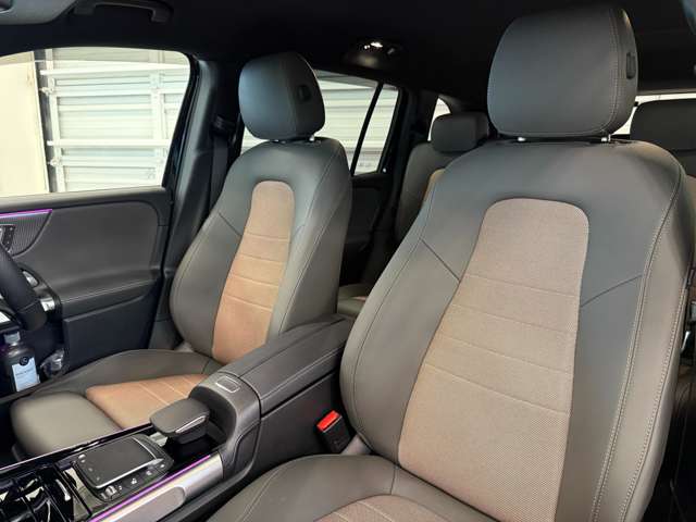 メルセデスベンツ ＥＱＢ ３５０ ４マチック ４ＷＤ ＭＰ２０２３０１ R5年 (関東) 99