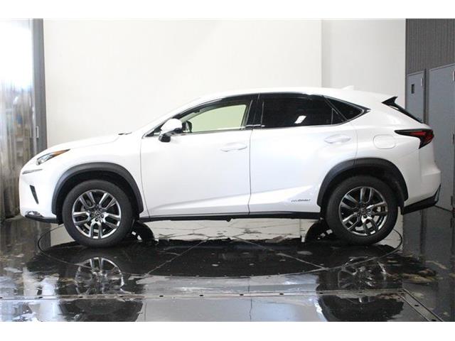 レクサス ＮＸ３００ｈ ３００Ｈ バージョンＬ ４ＷＤ H30年 (北海道) 99