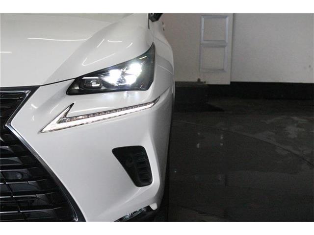 レクサス ＮＸ３００ｈ ３００Ｈ バージョンＬ ４ＷＤ H30年 (北海道) 99