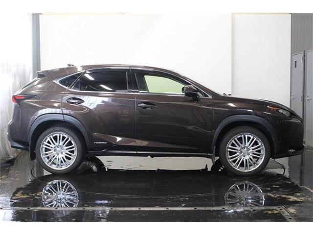 レクサス ＮＸ３００ｈ ３００Ｈ バージョンＬ ４ＷＤ H26年 (北海道) 99