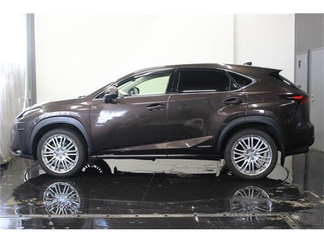 レクサス ＮＸ３００ｈ ３００Ｈ バージョンＬ ４ＷＤ H26年 (北海道) 99