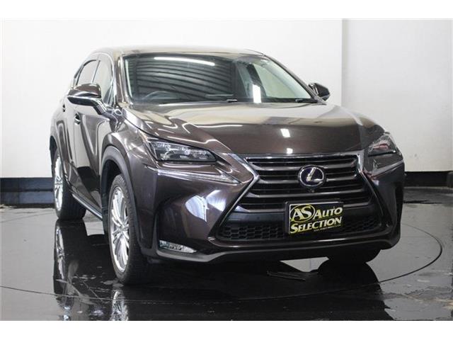 レクサス ＮＸ３００ｈ ３００Ｈ バージョンＬ ４ＷＤ H26年 (北海道) 99