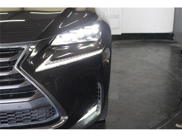 レクサス ＮＸ３００ｈ ３００Ｈ バージョンＬ ４ＷＤ H26年 (北海道) 99