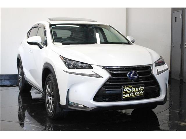 レクサス ＮＸ３００ｈ ３００Ｈ Ｉパッケージ ４ＷＤ H27年 (北海道) 99