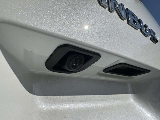 ダイハツ ムーヴ　キャンバス ６６０ ストライプス Ｇ R7年 (東海) 99