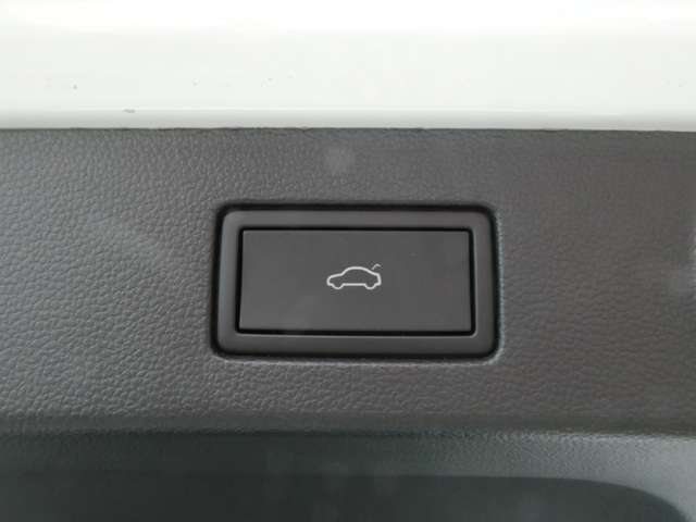 フォルクスワーゲン アルテオンシューティングブレーク ＴＳＩ ４モーション エレガンス ４ＷＤ R4年 (関東) 99