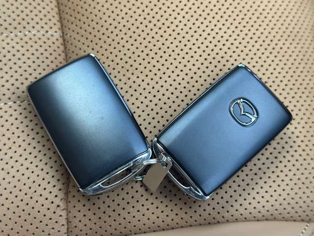 マツダ ＣＸ−６０ ３．３ ＸＤハイブリッド プレミアム スポーツ ディーゼルターボ ４ＷＤ R5年 (東海) 99