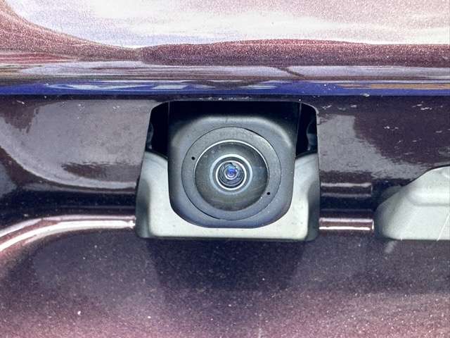 ダイハツ タント ６６０ Ｘ R6年 (東海) 99