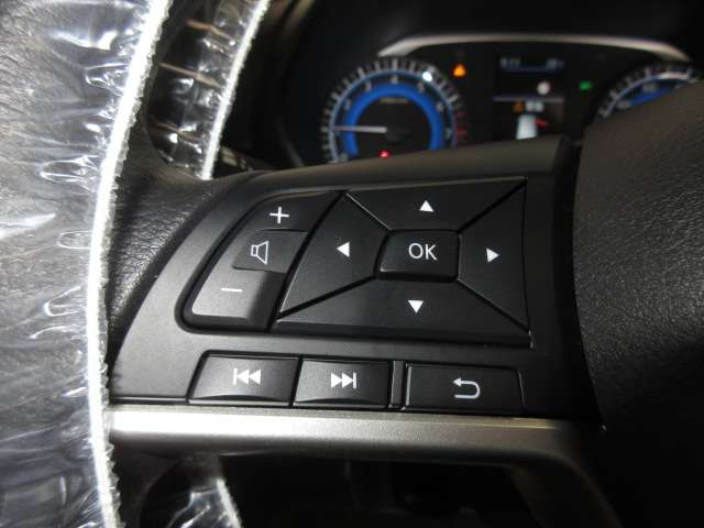 日産 ルークス ６６０ ハイウェイスターＸ プロパイロット エディション R7年 (九州・沖縄) 99