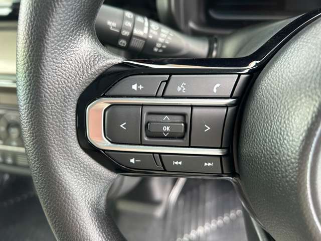 スズキ スペーシア ６６０ ハイブリッド Ｘ セーフティプラスパッケージ装着車 R5年 (東海) 99