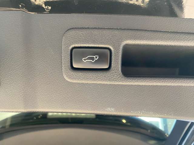 レクサス ＮＸ３００ｈ バージョンＬ H28年 (九州・沖縄) 99