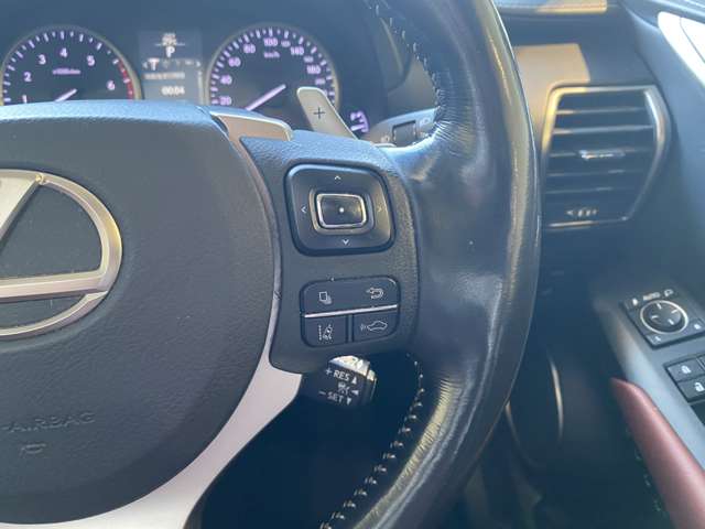 レクサス ＮＸ３００ｈ バージョンＬ H28年 (九州・沖縄) 99