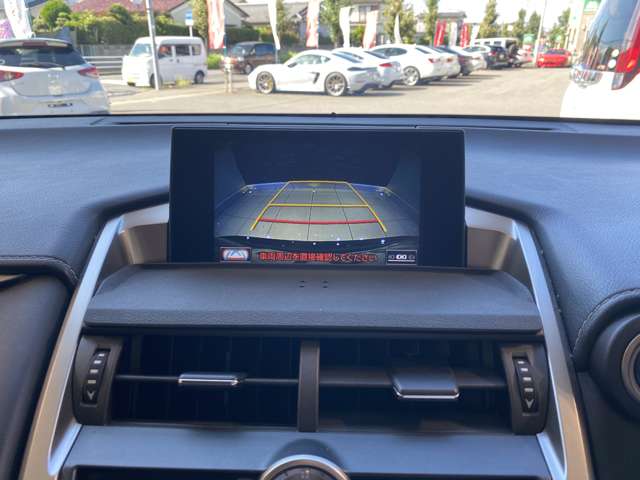 レクサス ＮＸ３００ｈ バージョンＬ H28年 (九州・沖縄) 99