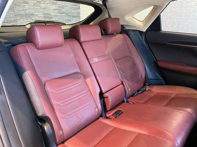 レクサス ＮＸ３００ｈ バージョンＬ H28年 (九州・沖縄) 99