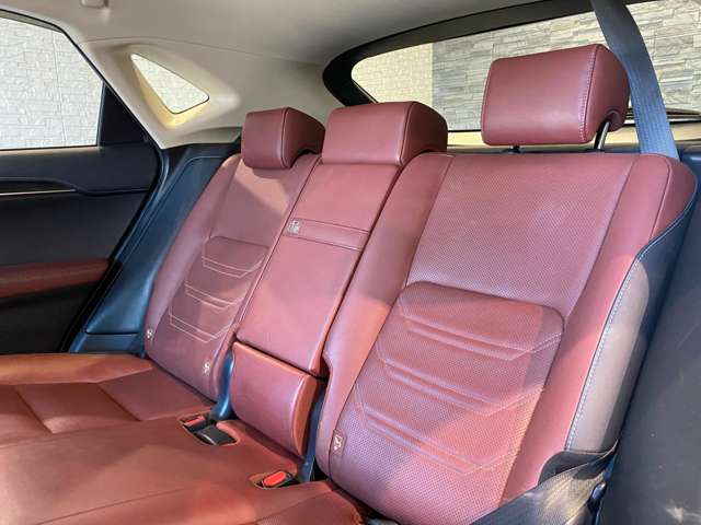 レクサス ＮＸ３００ｈ バージョンＬ H28年 (九州・沖縄) 99