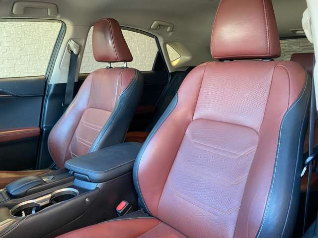 レクサス ＮＸ３００ｈ バージョンＬ H28年 (九州・沖縄) 99