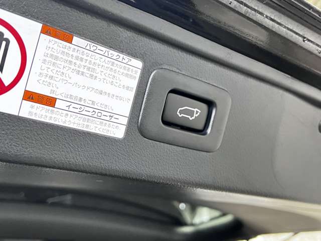 トヨタ ヴェルファイア ２．５ Ｚ Ａエディション ゴールデンアイズ H29年 (関東) 99