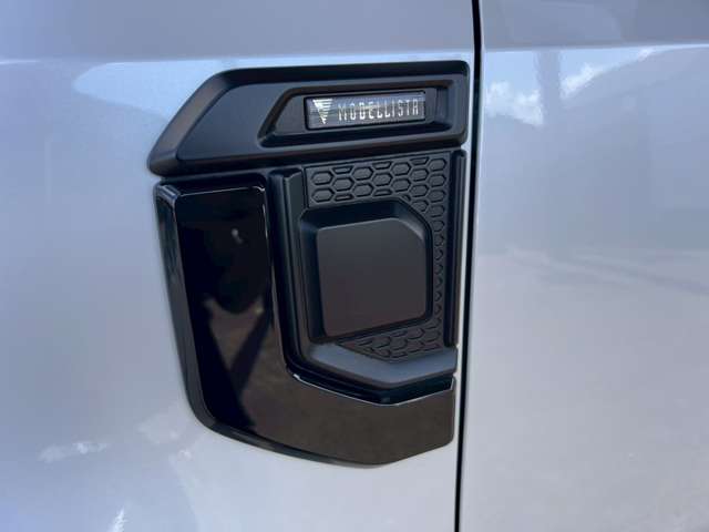 トヨタ ランドクルーザー２５０ ２．８ ＶＸ ディーゼルターボ ４ＷＤ R6年 (東海) 99