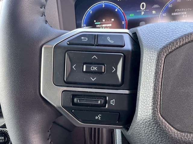 トヨタ ランドクルーザー２５０ ２．８ ＶＸ ディーゼルターボ ４ＷＤ R6年 (東海) 99