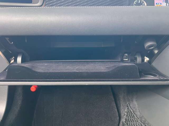 レクサス ＬＣ５００ Ｓパッケージ H30年 (東海) 99