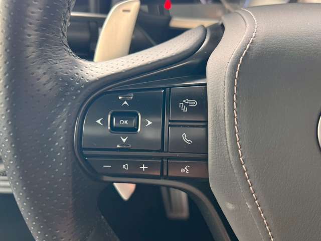 レクサス ＬＣ５００ Ｓパッケージ H30年 (東海) 99