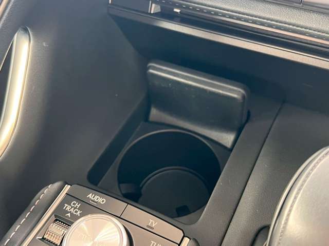 レクサス ＬＣ５００ Ｓパッケージ H30年 (東海) 99