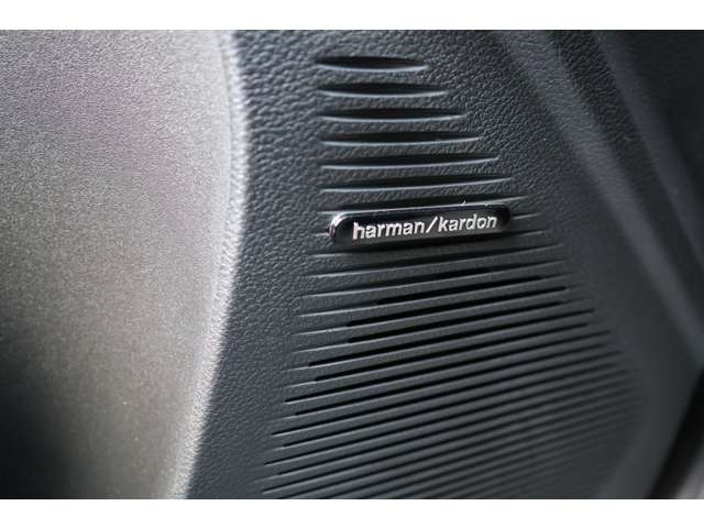 ダッジ チャレンジャー ＳＲＴ ヘルキャット R5年 (東海) 99