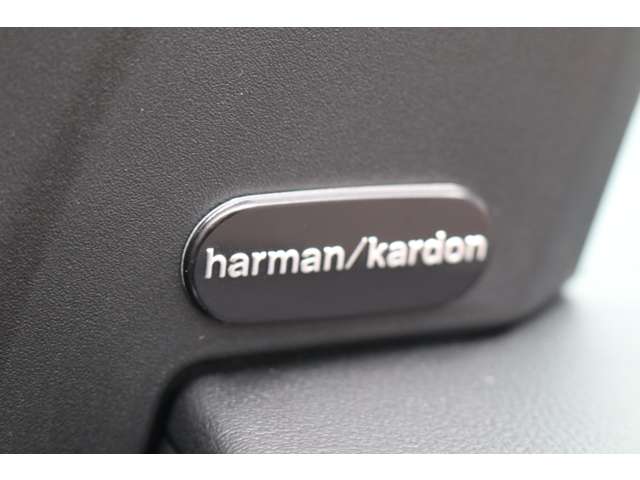 ダッジ チャージャー ＳＲＴジェイルブレイク R5年 (東海) 99