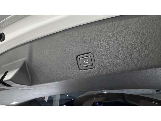 キャデラック ＸＴ６ プラチナム ４ＷＤ R3年 (関東) 99