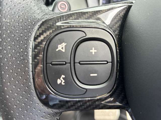 アバルト ５９５ コンペティツィオーネ R1年 (東北) 99