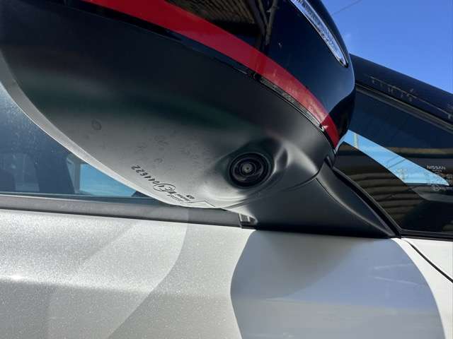 日産 リーフ ＮＩＳＭＯ R6年 (東海) 99