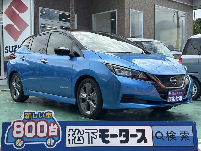 日産 リーフ アーバンクロム R3年 (東海) 99