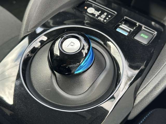 日産 リーフ アーバンクロム R3年 (東海) 99