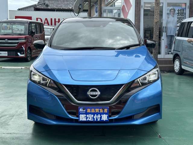 日産 リーフ アーバンクロム R3年 (東海) 99