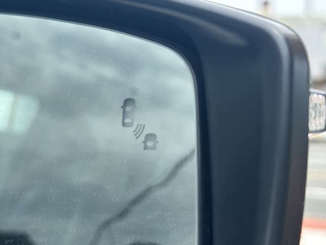 日産 リーフ ＡＵＴＥＣＨ R2年 (東海) 99