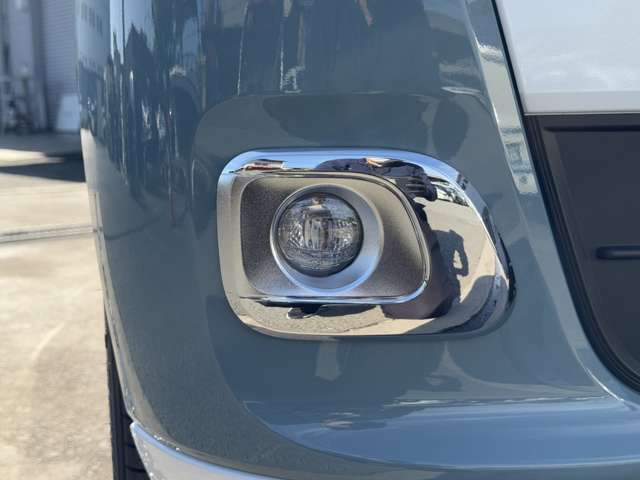 ダイハツ ムーヴ　キャンバス ６６０ ストライプス Ｇ R7年 (九州・沖縄) 99