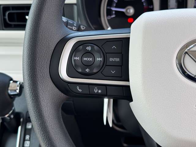 ダイハツ ムーヴ　キャンバス ６６０ ストライプス Ｇ R7年 (九州・沖縄) 99